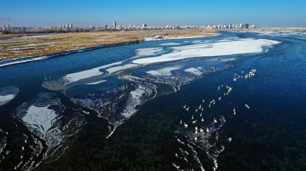 黑河水乡城市